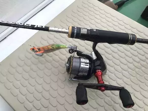 「西伊豆でティップラン＆ロックゲーム　本命アオリ含め五目達成【静岡】」の画像