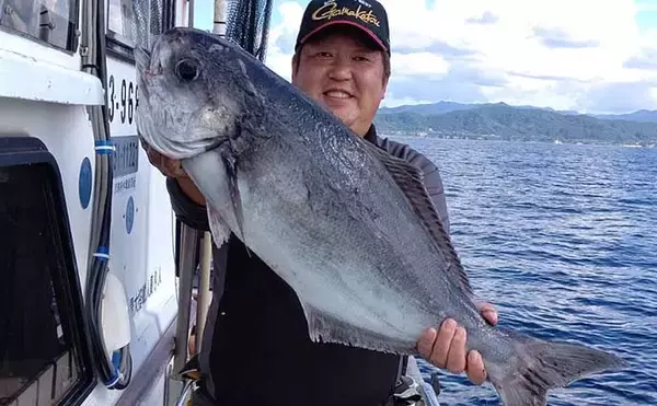 「秋の『完全フカセ釣り』で良型マダイ＆大型メダイ手中【京都・丸田丸】」の画像