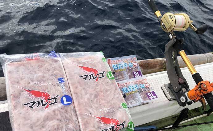 秋の『完全フカセ釣り』で良型マダイ＆大型メダイ手中【京都・丸田丸】