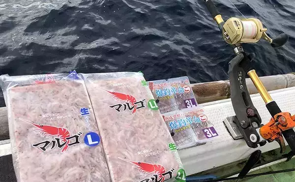 「秋の『完全フカセ釣り』で良型マダイ＆大型メダイ手中【京都・丸田丸】」の画像