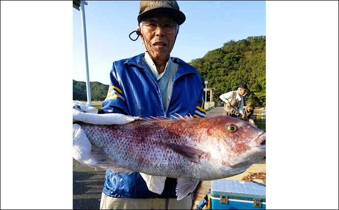 三重 海上釣り堀最新釣果 短時間コースでもシマアジなど高級魚手中 年11月4日 エキサイトニュース