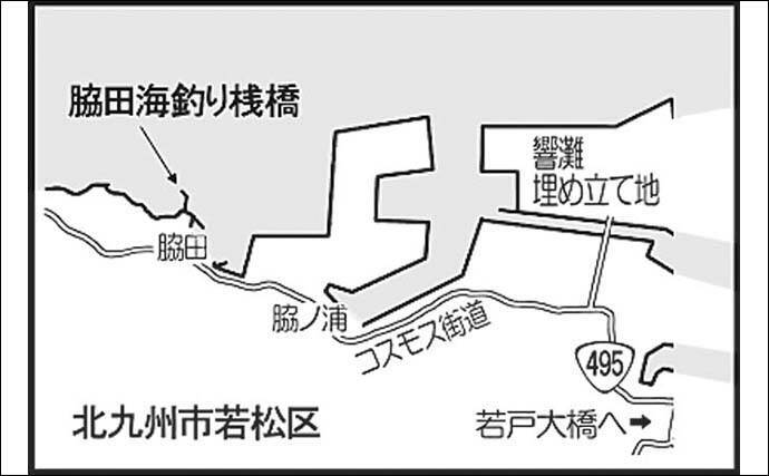 海釣り施設の泳がせ釣りで 肝パン カワハギにアラ 脇田海釣り桟橋 年11月12日 エキサイトニュース