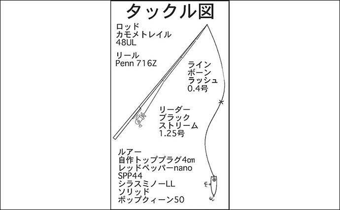 ラン ガンでメッキ連発 水面爆ぜるトップゲーム満喫 三重 南伊勢 年11月12日 エキサイトニュース