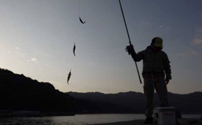 ドローン 活用したちょい投げ釣りでシロギス125匹 周防大島 年11月18日 エキサイトニュース 4 4