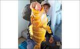 「【福岡】沖のエサ釣り最新釣果　『アラ』など良型の高級根魚目白押し」の画像4