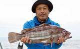 「【福岡】沖のエサ釣り最新釣果　『アラ』など良型の高級根魚目白押し」の画像1