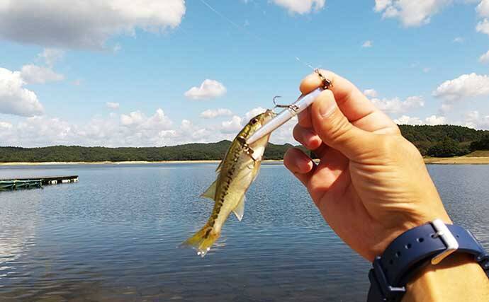 秋風景楽しむバス釣り　「アクションは貫き通す」が奏功？【入鹿池】