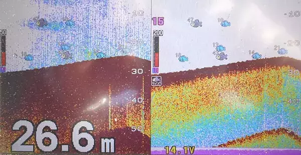 「マイボート『チョクリ釣り』でブリ族連打　飲ませ釣りは不発【明石沖】」の画像