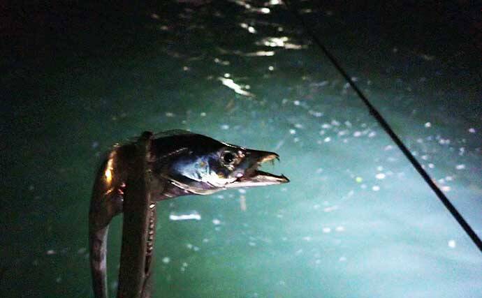 ご当地釣法紹介：「投光器」使った岸壁での『垂らし釣り』【清水港】