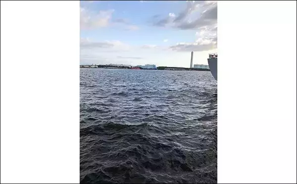 「今さら聞けないメバリングの基本：『デイ（日中）』にメバルを釣る方法」の画像