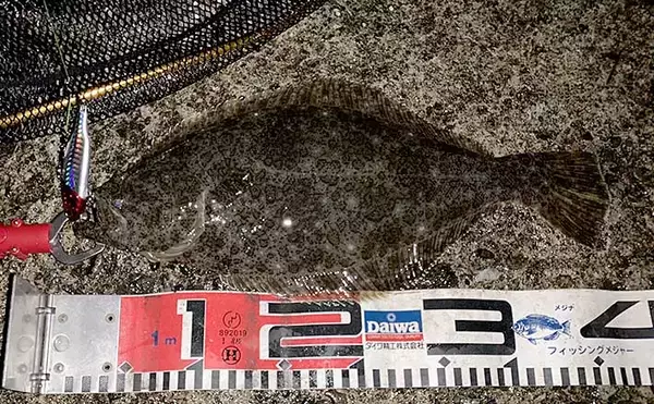 ナイトサーフゲームで37cmヒラメ　激安中古ルアーにヒット【遠州灘】