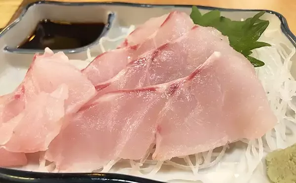 「「幻の高級魚」マハタの出荷が最盛期　気軽に食べられる養殖モノも美味」の画像