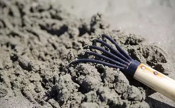 「浜に打ち上げられたハマグリ拾ったら犯罪？　漁業権侵害しがちな魚介類」の画像