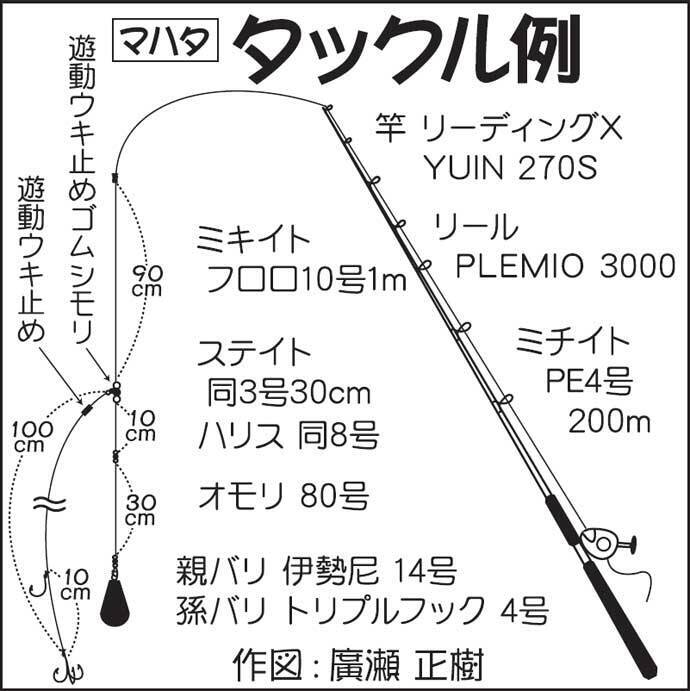 泳がせ釣りで良型 マハタ 乱舞 2kg級頭に6尾手中 千葉 春日丸 年12月6日 エキサイトニュース