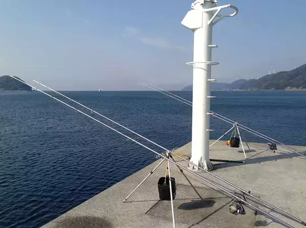 「実は「投げ釣り」でも狙える高級魚アマダイ　12月は西日本で実績アリ」の画像