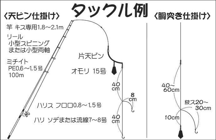 東京湾 冬の船シロギス釣り解説 寒い時期は脂のって食味アップ 年12月3日 エキサイトニュース