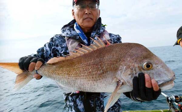 落とし込み釣りで高級魚三昧 マダイにヒラメにヒラマサ 山口 入江丸 年12月7日 エキサイトニュース