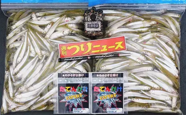 ボートワカサギ釣りで「1002尾」　数＆型ともに大満足【津久井湖】