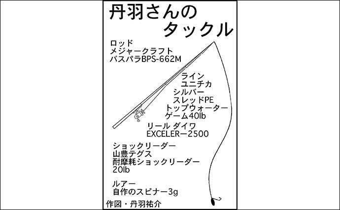 デイナマズゲームで本命56cm 自作スピナーにヒット 愛知 鴨田川 年12月9日 エキサイトニュース