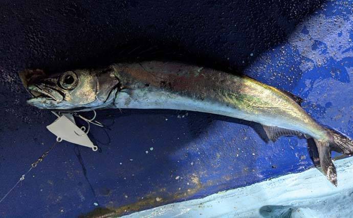 ご当地釣法 サーベルテンヤ でタチウオ釣り 好ゲストには深海魚も 年12月15日 エキサイトニュース 4 6