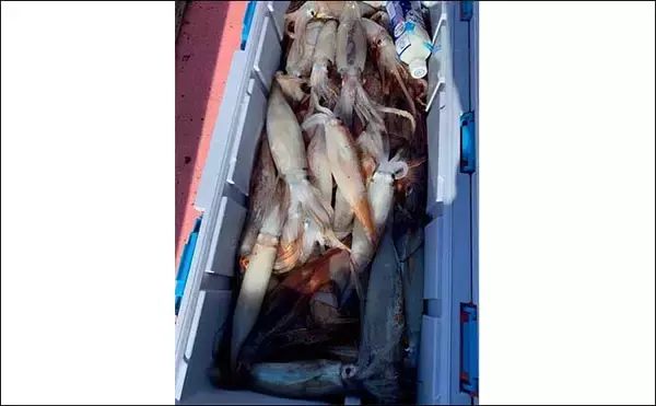 「世界遺産『知床』を釣る：秋～冬のオススメ釣り物紹介　シケ時は温泉へ」の画像