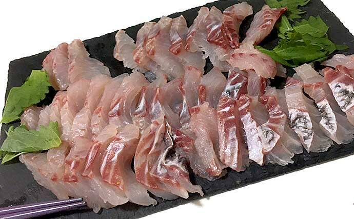 磯フカセで尾長グレ連発　見極めるべき釣り場の「クセ」とは？【山口】