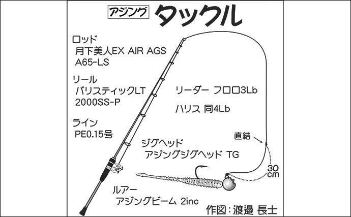 アジングで良型入れ食い49尾 数釣りのコツも解説 千葉 大沢漁港 年12月17日 エキサイトニュース 2 4