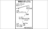 「波止エギングでミズイカ＆モンゴウ手中　ベタ底でヒット【熊本・天草】」の画像2