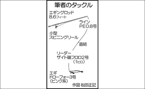 「波止エギングでミズイカ＆モンゴウ手中　ベタ底でヒット【熊本・天草】」の画像