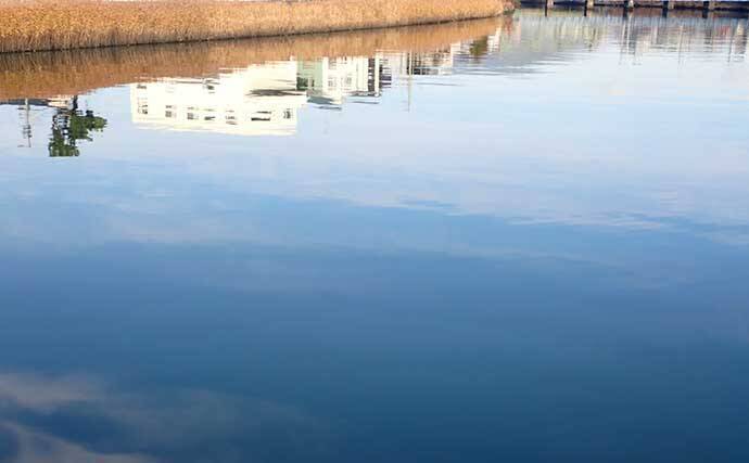 静岡 汽水域のオススメ釣りターゲット4選 釣行の注意点とは 年12月25日 エキサイトニュース