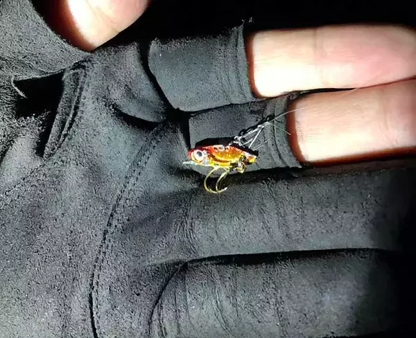 「今さら聞けないカサゴゲームのキホン：トクする「メタルルアー」活用法」の画像