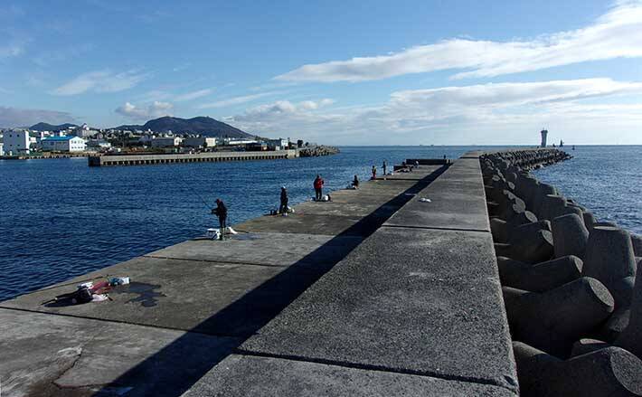 冬も楽しい阪神 神明間の沖堤防 釣り公園 ミャク カゴ釣りで満喫 21年1月3日 エキサイトニュース