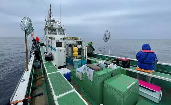 「城ヶ島沖で『オニカサゴ』狙い　釣果7匹は高級鍋食材に【いわき丸】」の画像