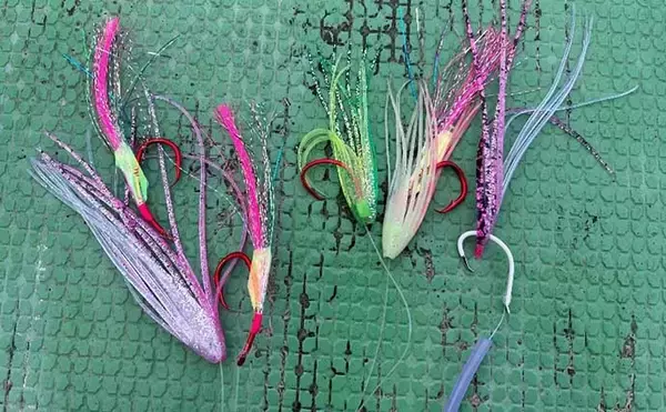 「城ヶ島沖で『オニカサゴ』狙い　釣果7匹は高級鍋食材に【いわき丸】」の画像