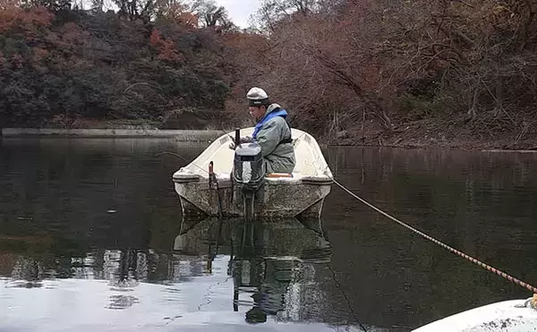 「津久井湖で「ボートワカサギ」快釣　底釣り中心に467尾【沼本ボート】」の画像