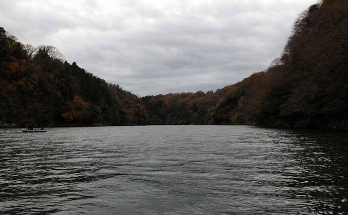 津久井湖で「ボートワカサギ」快釣　底釣り中心に467尾【沼本ボート】
