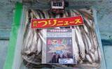 「津久井湖で「ボートワカサギ」快釣　底釣り中心に467尾【沼本ボート】」の画像7