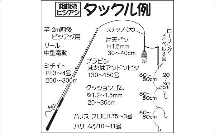 相模湾 ビシアジ五目 釣り入門 状況に応じて大型魚狙いも 年12月24日 エキサイトニュース