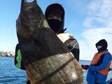 「週末ナニ釣れた？沖釣り速報：茨城で『大判ヒラメ』の好機続く【関東】」の画像14