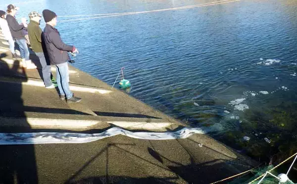 「【東海2021】冬は「エリアトラウト」入門好機　フックはこまめに交換を」の画像