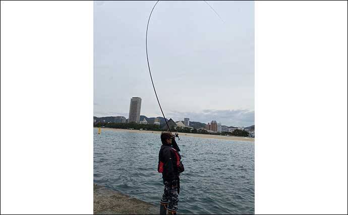 沖堤フカセ釣りで40cmチヌ　さしエサのローテが的中【須磨一文字】