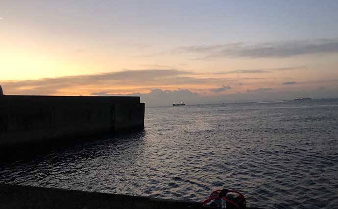 沖堤フカセ釣りで40cmチヌ　さしエサのローテが的中【須磨一文字】