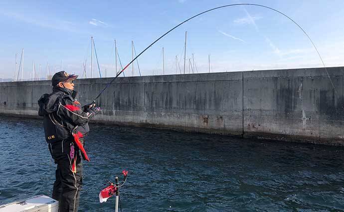 沖堤フカセ釣りで40cmチヌ　さしエサのローテが的中【須磨一文字】