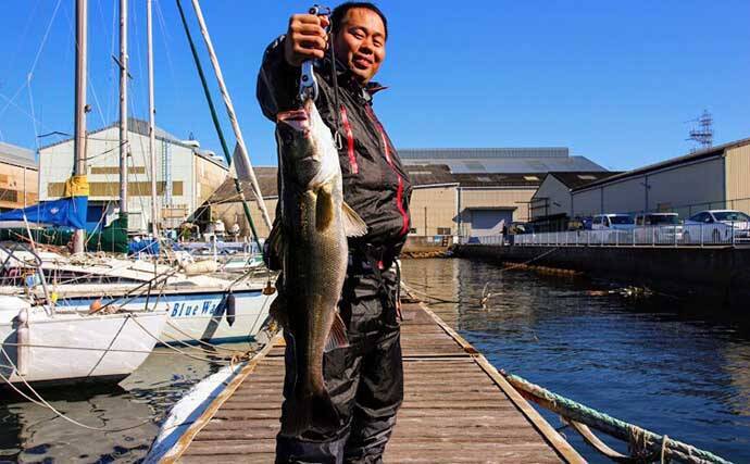 21年の大阪湾 青物 は好調継続 昨年の釣行を振り返る 21年1月7日 エキサイトニュース