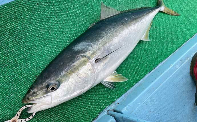 鳥羽沖ジギングで 寒ブリ キャッチ 2月まではチャンス 三重 強丸 21年1月7日 エキサイトニュース 2 6