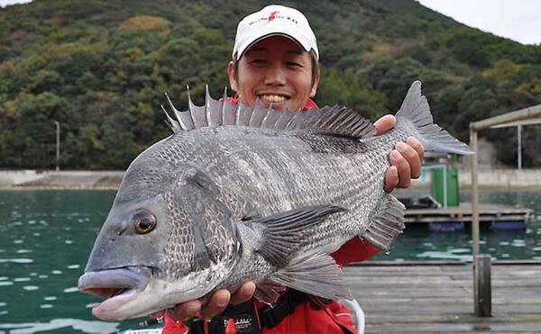 和歌山21 由良糸谷の 筏チヌ釣り 攻略法 冬は大型狙いの好機 21年1月11日 エキサイトニュース