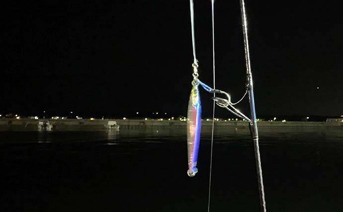 オフショアジギングで良型青物好調　今後はヒラマサに期待【征海丸】