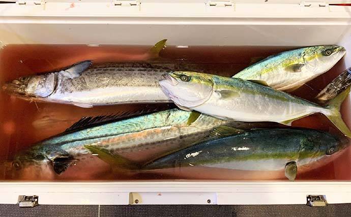 オフショアジギングで良型青物好調　今後はヒラマサに期待【征海丸】