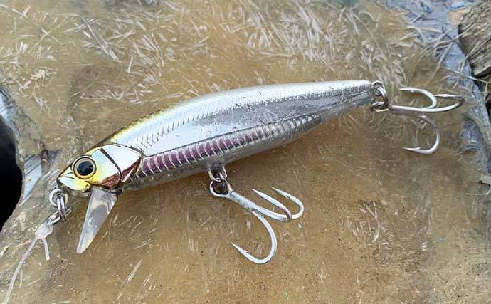 オフショアジギングで良型青物好調　今後はヒラマサに期待【征海丸】