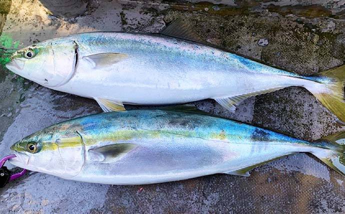 オフショアジギングで良型青物好調　今後はヒラマサに期待【征海丸】